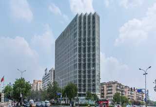 柚子水果批发需要多少钱